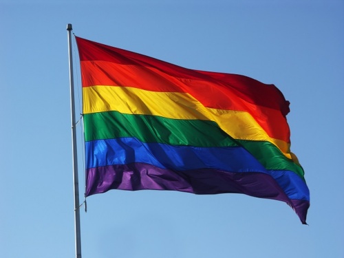 Полиция пожаловалась на решение суда, признавшего законной акцию ЛГБТ-активиста